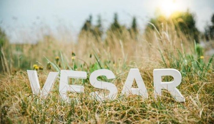 Vesar