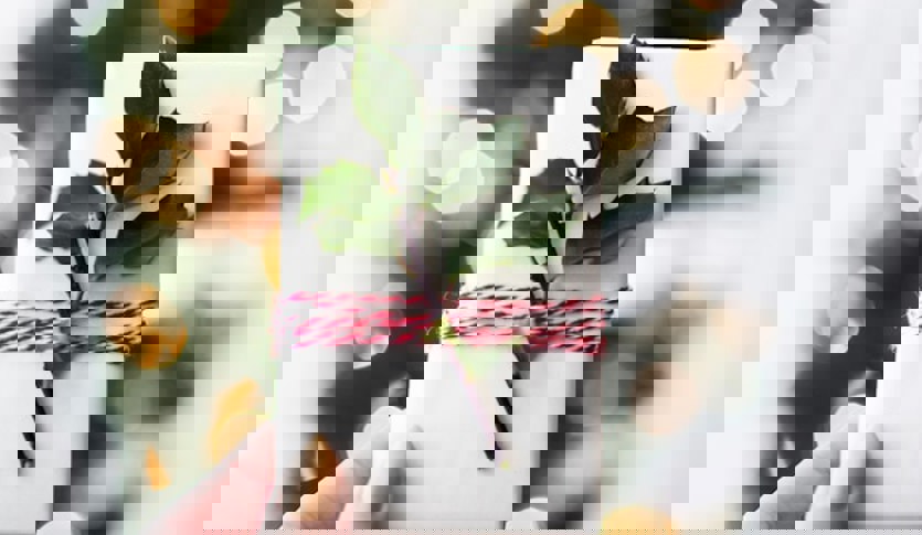 Kari Shea Kvl1jlkncv8 Unsplash