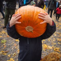 Det skumleste med Halloween er matsvinnet!