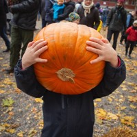 Det skumleste med Halloween er matsvinnet!