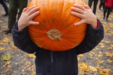 Det skumleste med Halloween er matsvinnet!