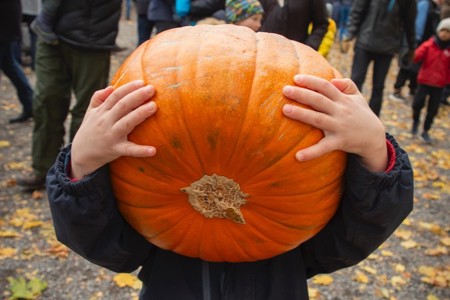 Det skumleste med Halloween er matsvinnet!